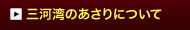 三河湾のあさりについて